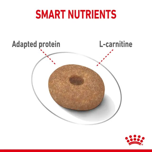 Royal Canin Mini Light Weight Care Dry Dog Food - 3 kg - Pet Supply